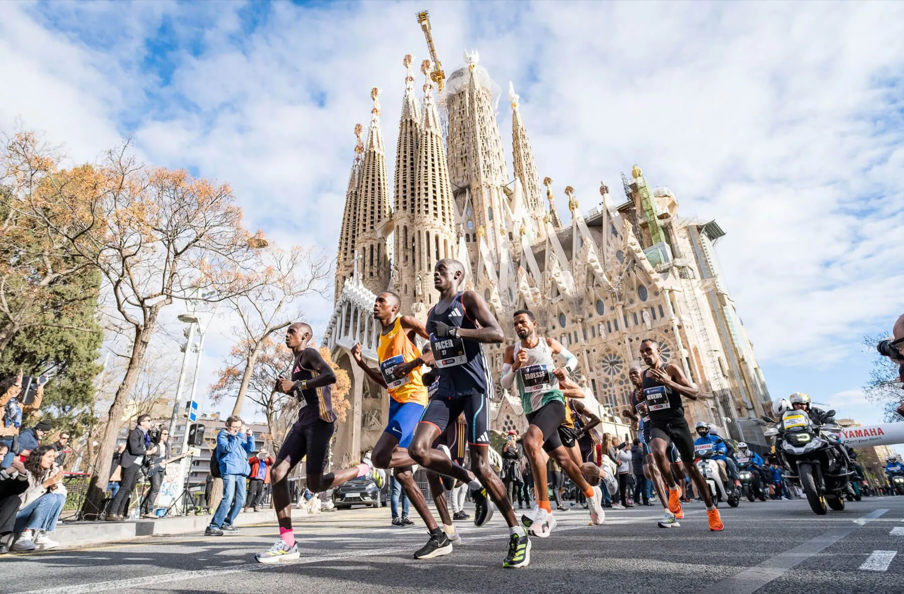 Zurich Marató Barcelona project — image 1